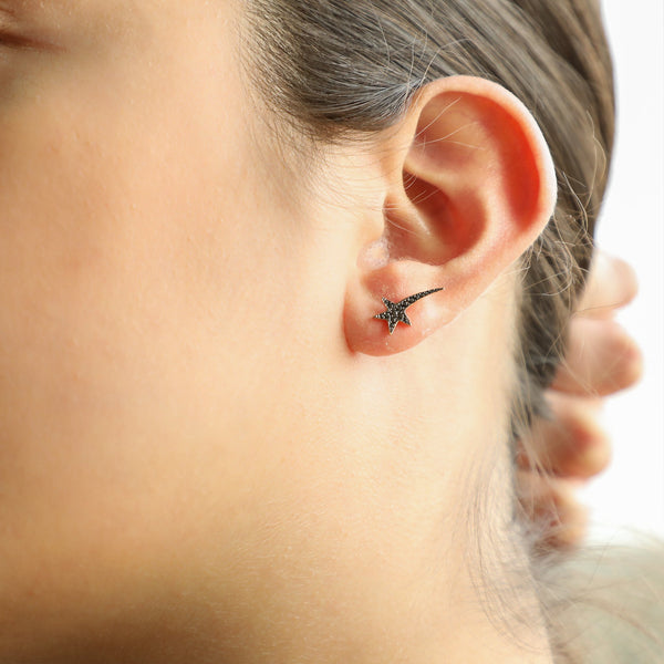 Shooting Star with Black Diamonds